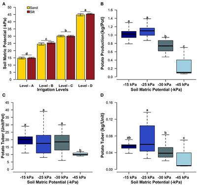 Soil Bacterial Community Associated With High Potato Production and Minimal Water Use